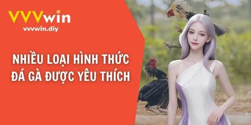 Nhiều loại hình thức đá gà được yêu thích